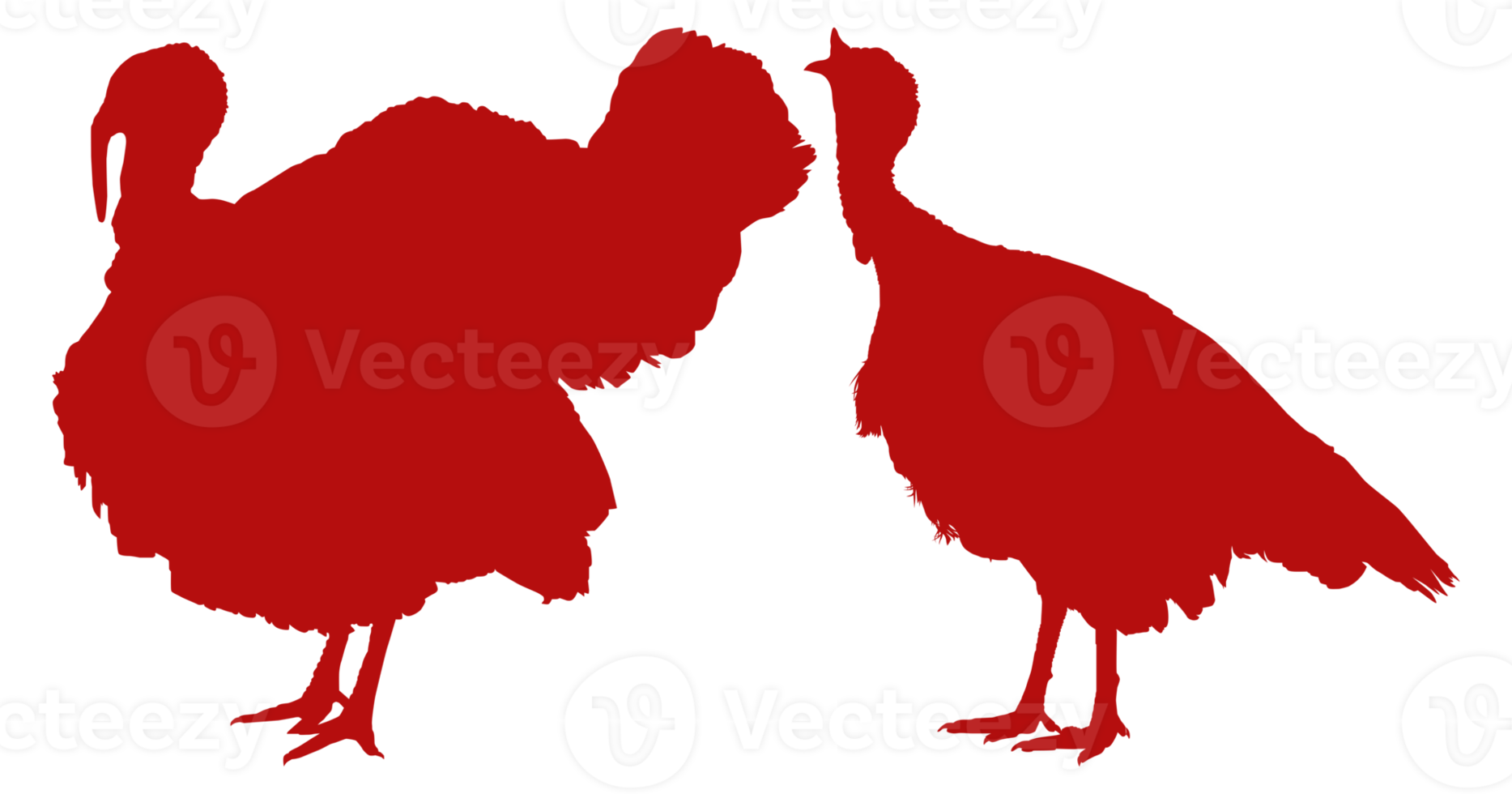 Pair of Turkey Silhouette for Art Illustration, Pictogram or Graphic Design Element. The Turkey is a large bird in the genus Meleagris. Format PNG