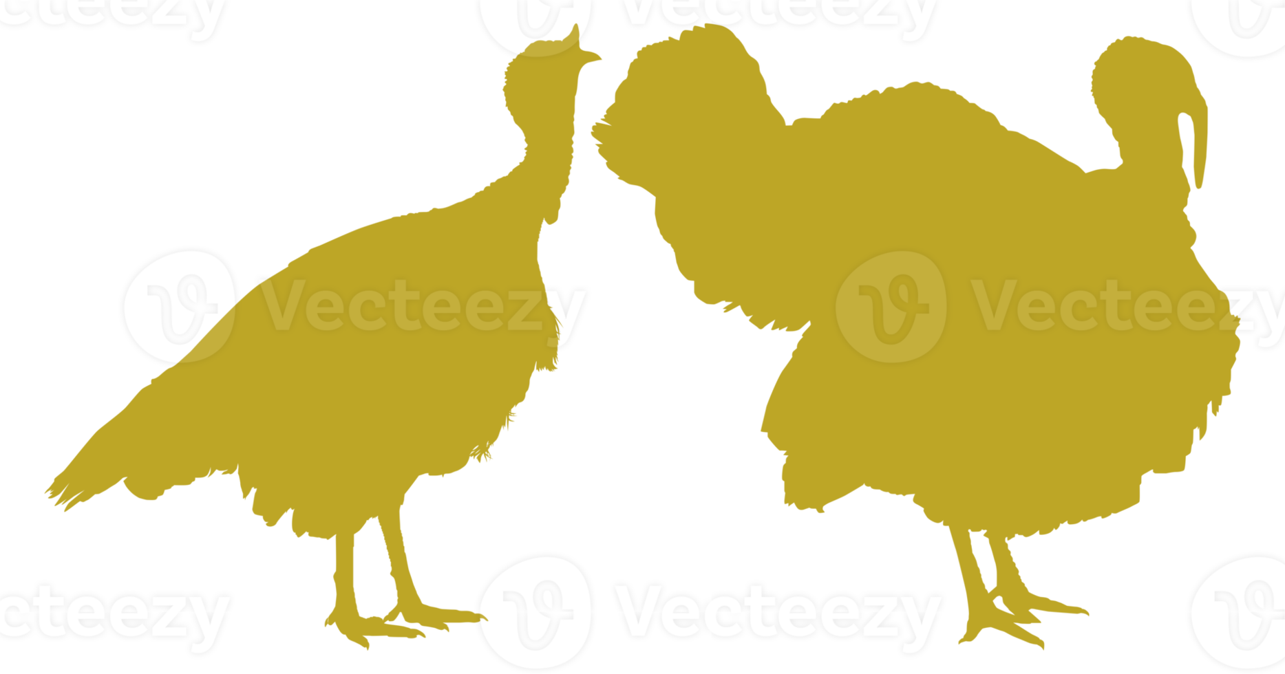 Pair of Turkey Silhouette for Art Illustration, Pictogram or Graphic Design Element. The Turkey is a large bird in the genus Meleagris. Format PNG