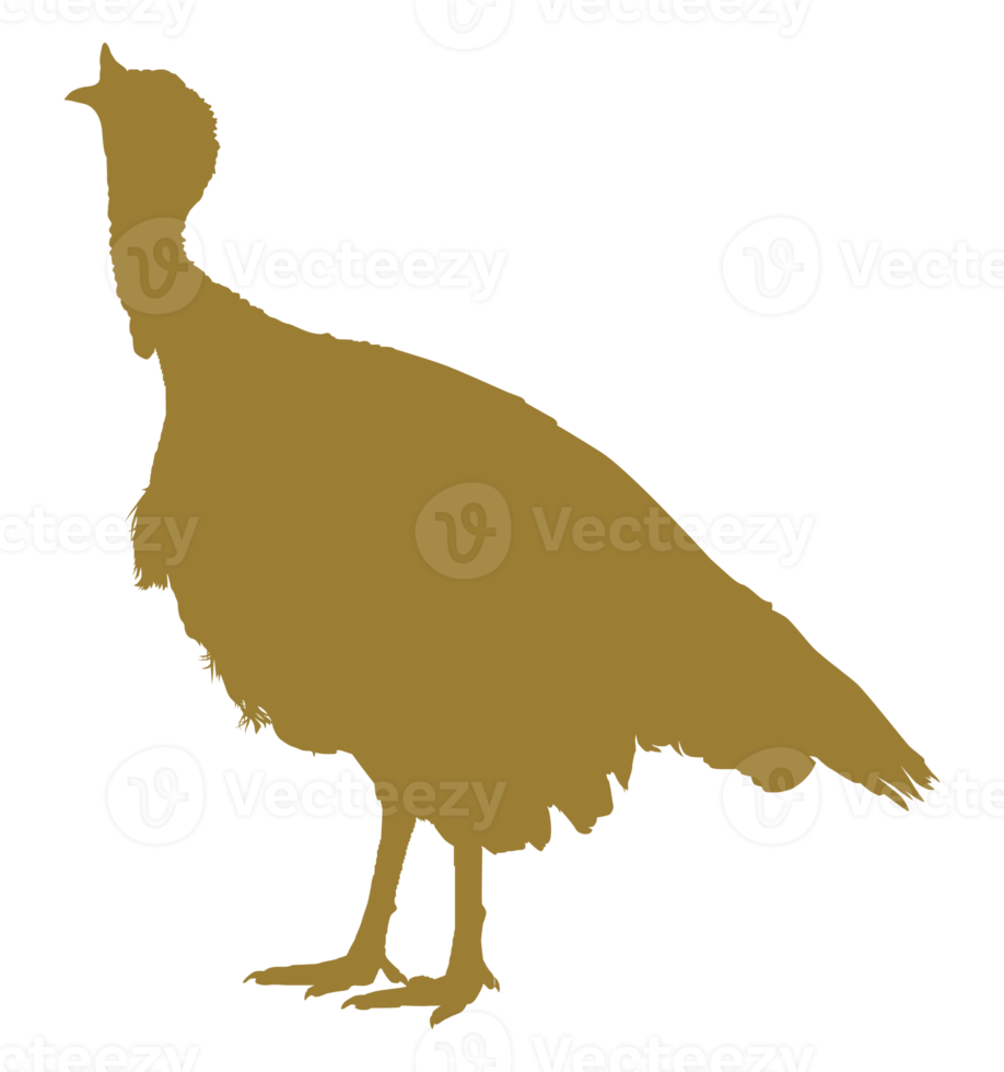 Turkey Silhouette for Art Illustration, Pictogram or Graphic Design Element. The Turkey is a large bird in the genus Meleagris. Format PNG