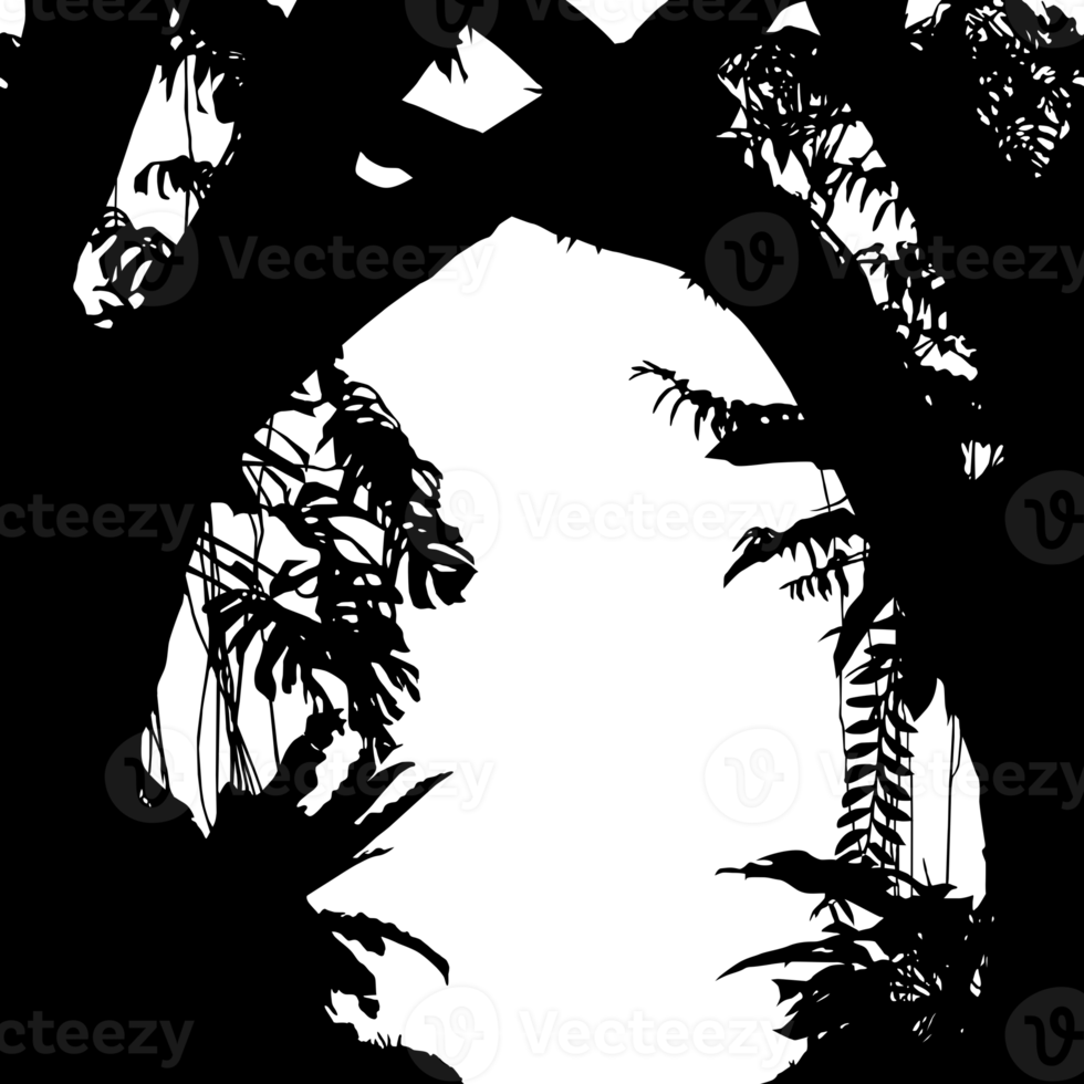 träd i de skog eller djungel silhuett för konst illustration, bakgrund, eller grafisk design element. formatera png