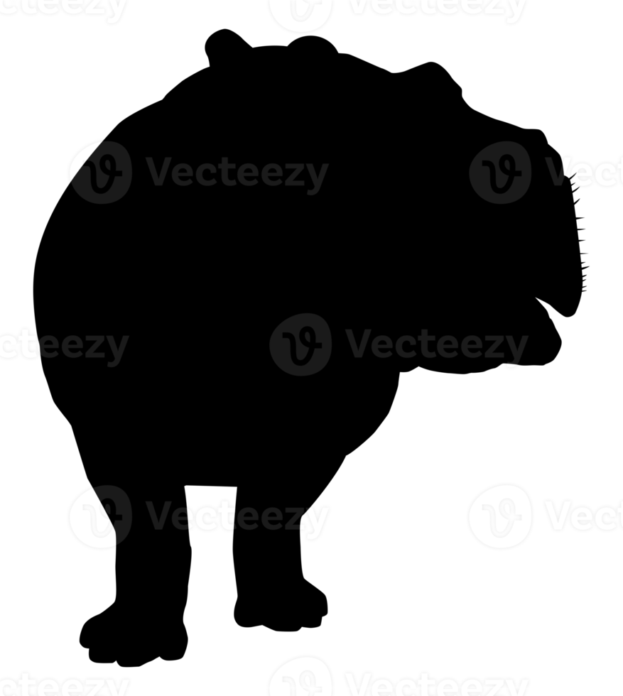 ippopotamo silhouette per logo, arte illustrazione, icona, simbolo, pittogramma o grafico design elemento. formato png