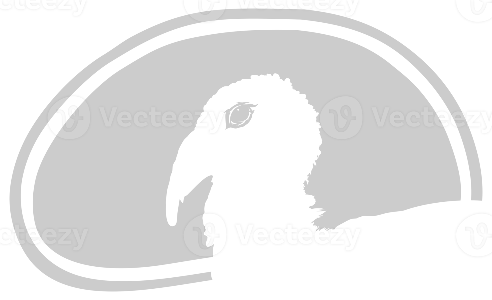 Turkey Head Silhouette in the Meat Shape for Logo,Label, Mark, Tag, Pictogram or Graphic Design Element. The Turkey is a large bird in the genus Meleagris. Format PNG