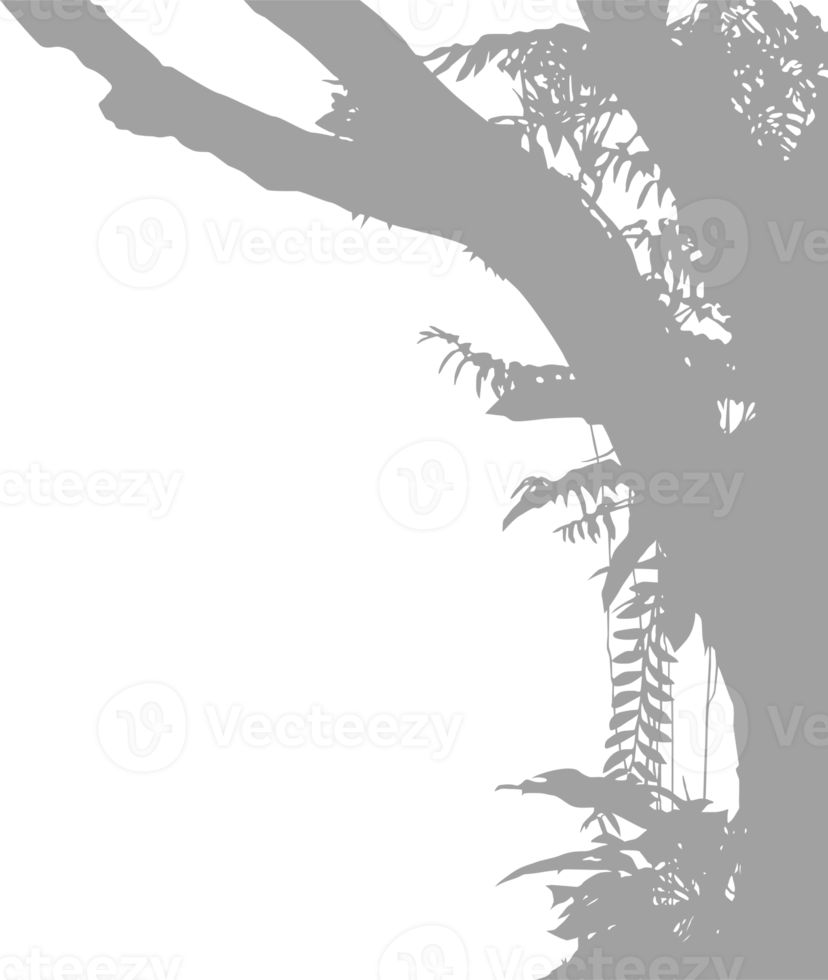 träd i de skog eller djungel silhuett för konst illustration, bakgrund, eller grafisk design element. formatera png