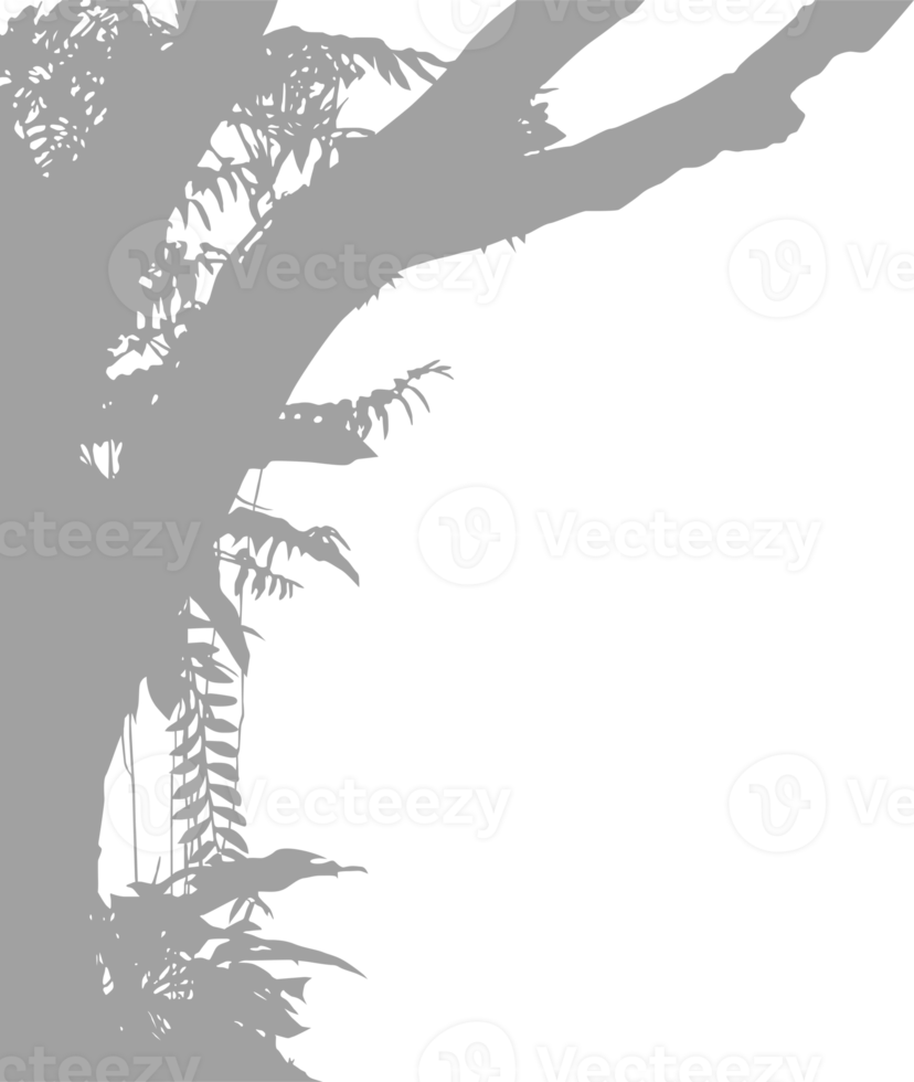 träd i de skog eller djungel silhuett för konst illustration, bakgrund, eller grafisk design element. formatera png