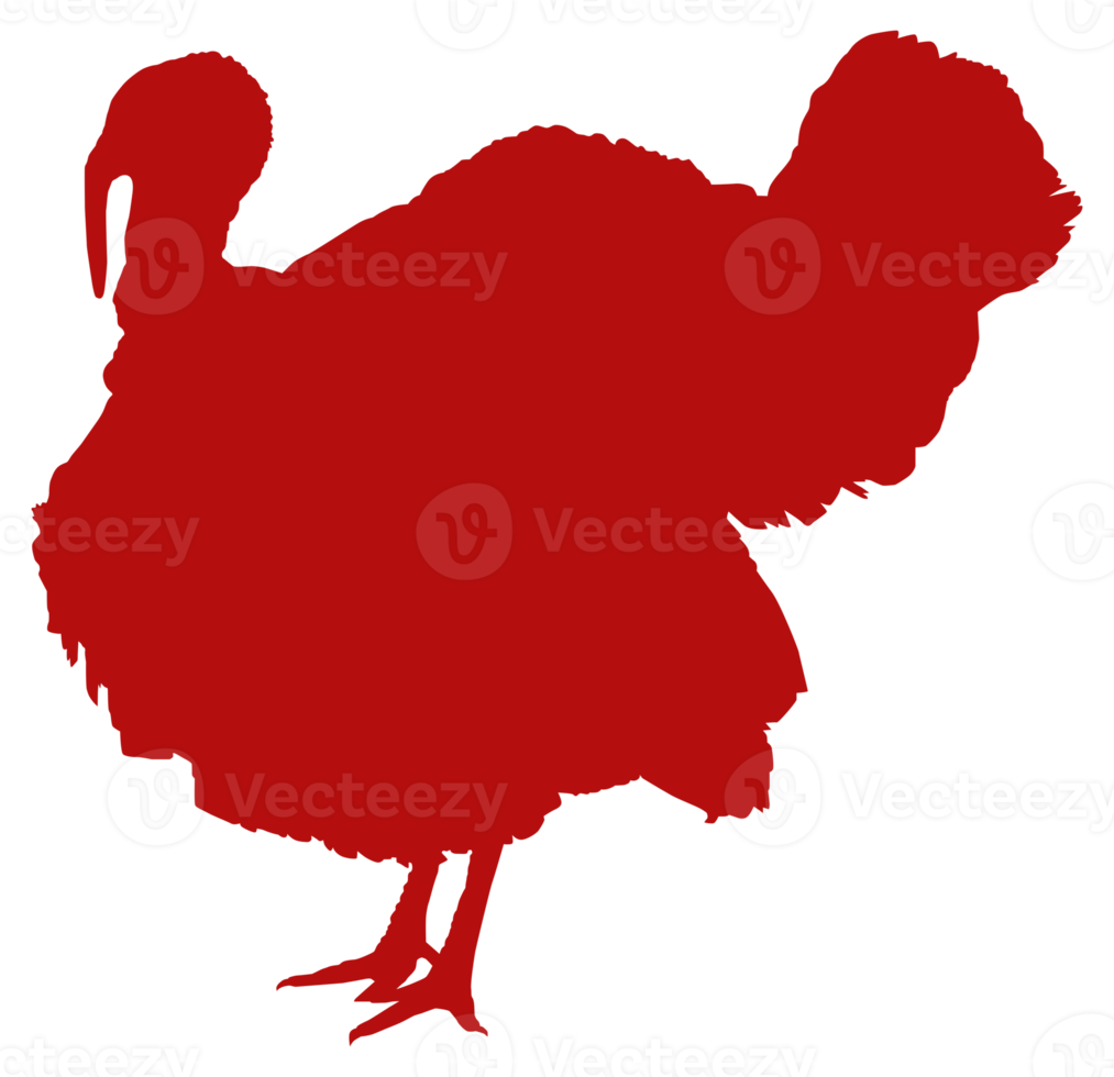 Turkey Silhouette for Art Illustration, Pictogram or Graphic Design Element. The Turkey is a large bird in the genus Meleagris. Format PNG