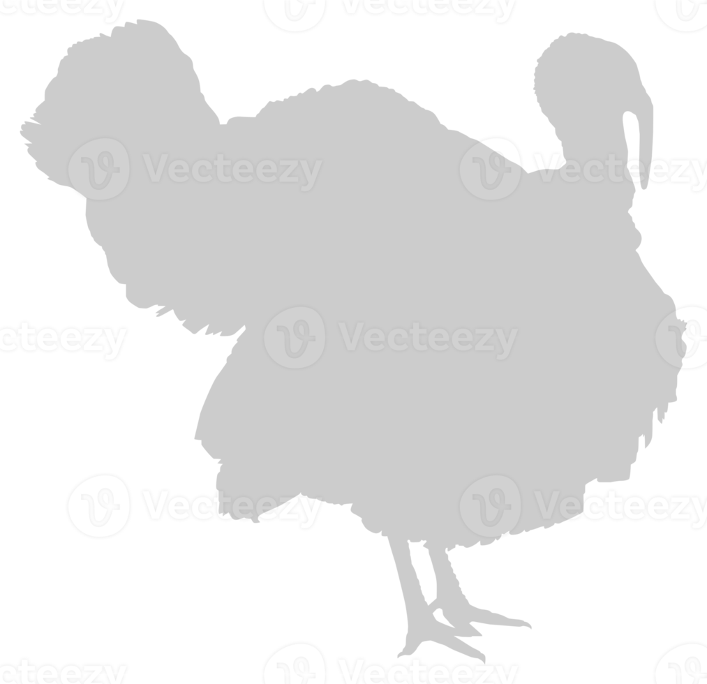 Turkey Silhouette for Art Illustration, Pictogram or Graphic Design Element. The Turkey is a large bird in the genus Meleagris. Format PNG