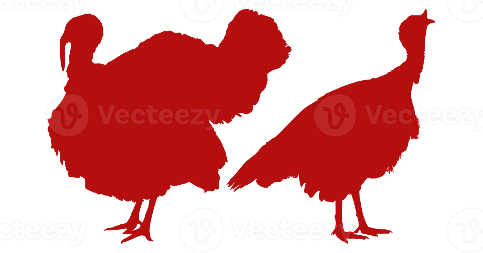 Pair of Turkey Silhouette for Art Illustration, Pictogram or Graphic Design Element. The Turkey is a large bird in the genus Meleagris. Format PNG