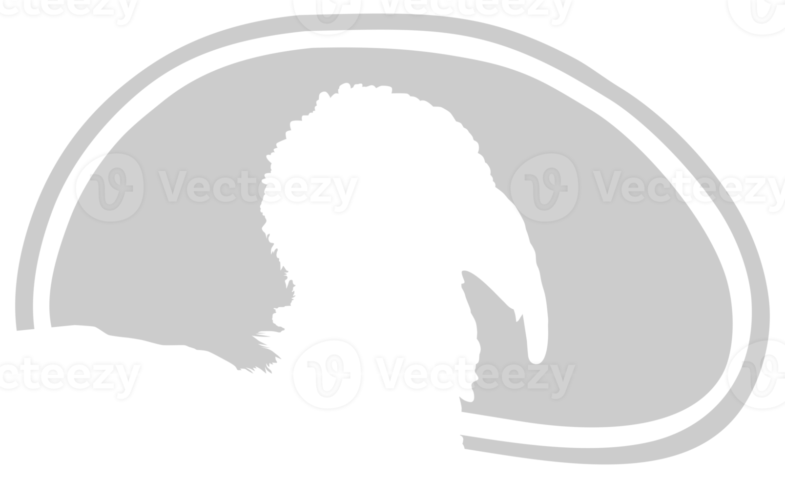 Kalkon huvud silhuett i de kött form för logotyp, etikett, märke, märka, piktogram eller grafisk design element. de Kalkon är en stor fågel i de släkte meleagris. formatera png
