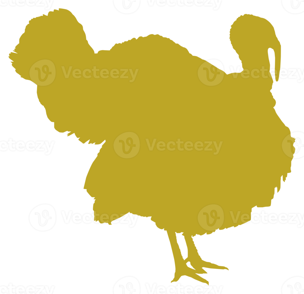 Turkey Silhouette for Art Illustration, Pictogram or Graphic Design Element. The Turkey is a large bird in the genus Meleagris. Format PNG