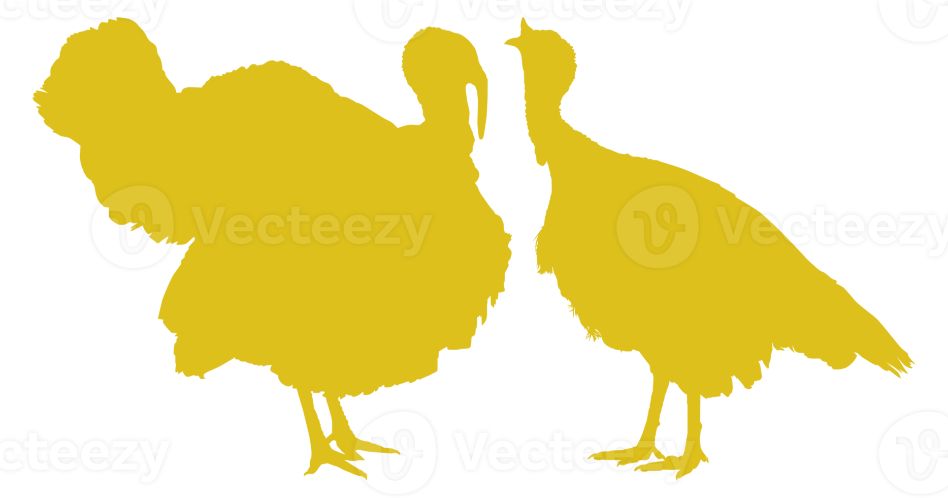 Pair of Turkey Silhouette for Art Illustration, Pictogram or Graphic Design Element. The Turkey is a large bird in the genus Meleagris. Format PNG