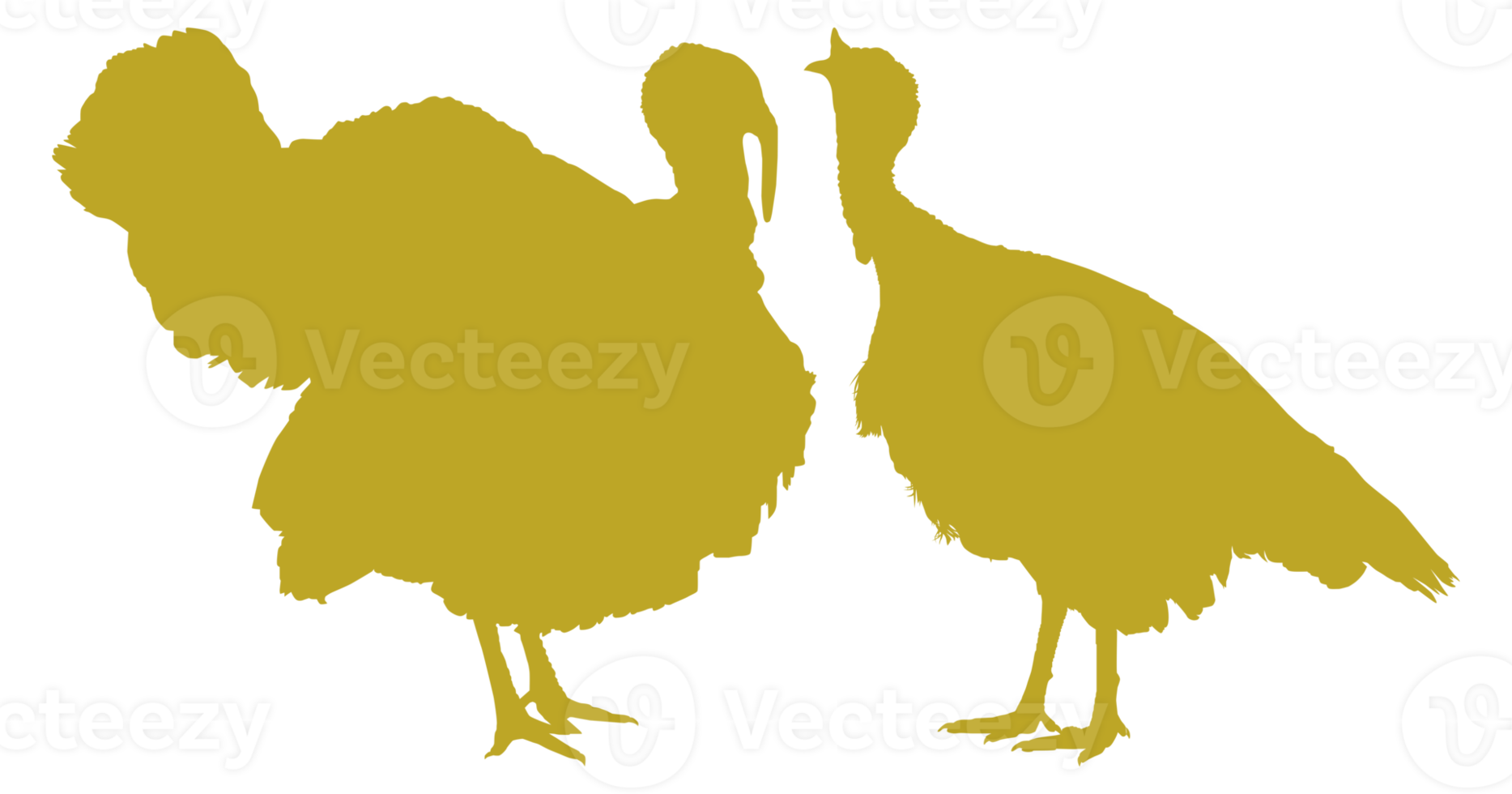 Pair of Turkey Silhouette for Art Illustration, Pictogram or Graphic Design Element. The Turkey is a large bird in the genus Meleagris. Format PNG