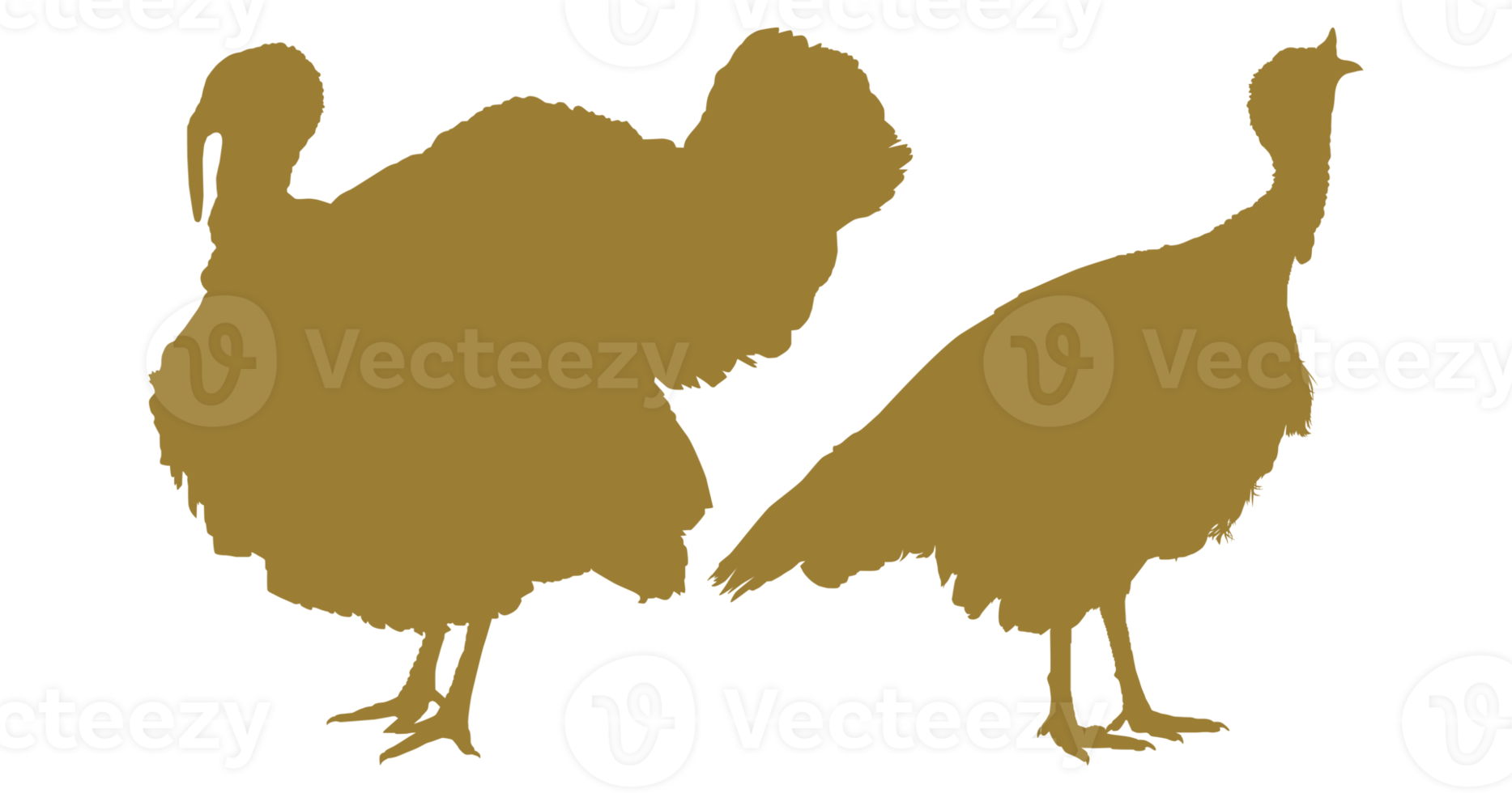 Pair of Turkey Silhouette for Art Illustration, Pictogram or Graphic Design Element. The Turkey is a large bird in the genus Meleagris. Format PNG