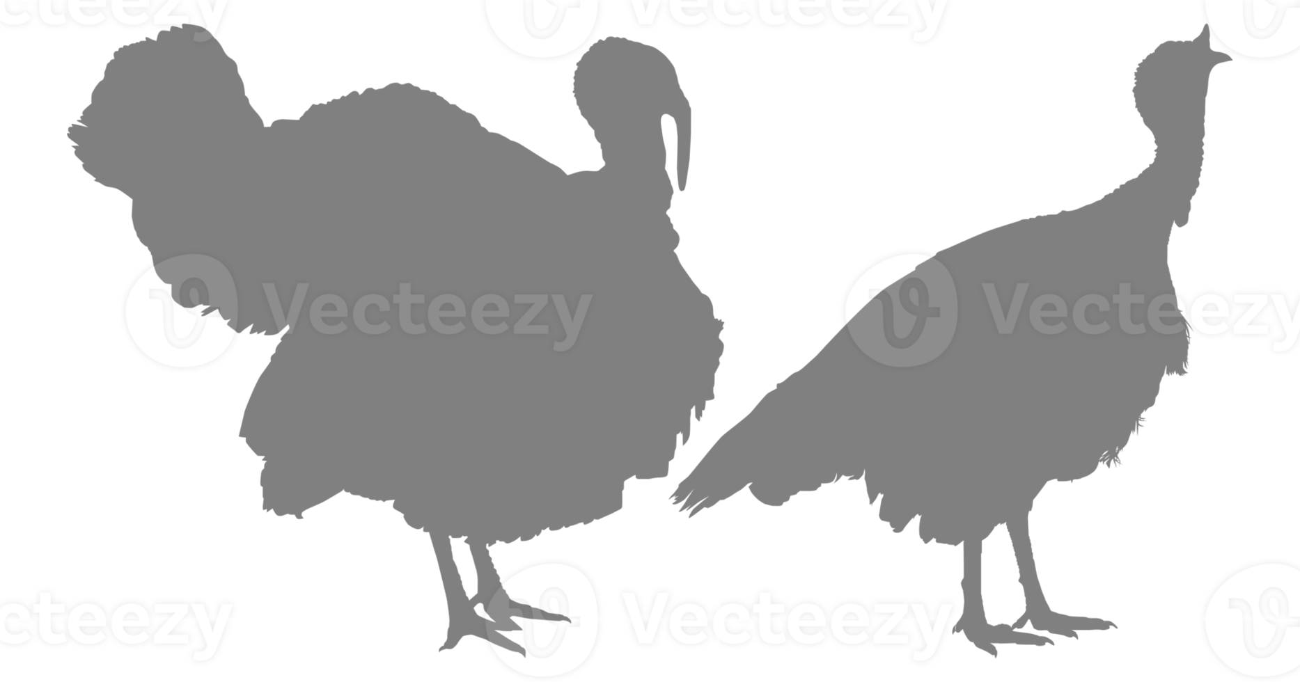 par de Turquía silueta para Arte ilustración, pictograma o gráfico diseño elemento. el Turquía es un grande pájaro en el género meleagris. formato png