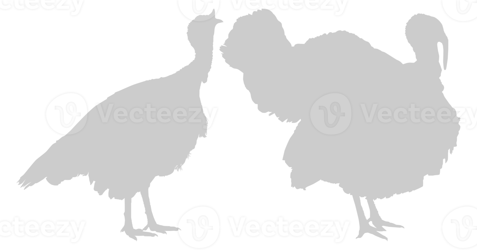 Paar von Truthahn Silhouette zum Kunst Illustration, Piktogramm oder Grafik Design Element. das Truthahn ist ein groß Vogel im das Gattung Meleagris. Format png