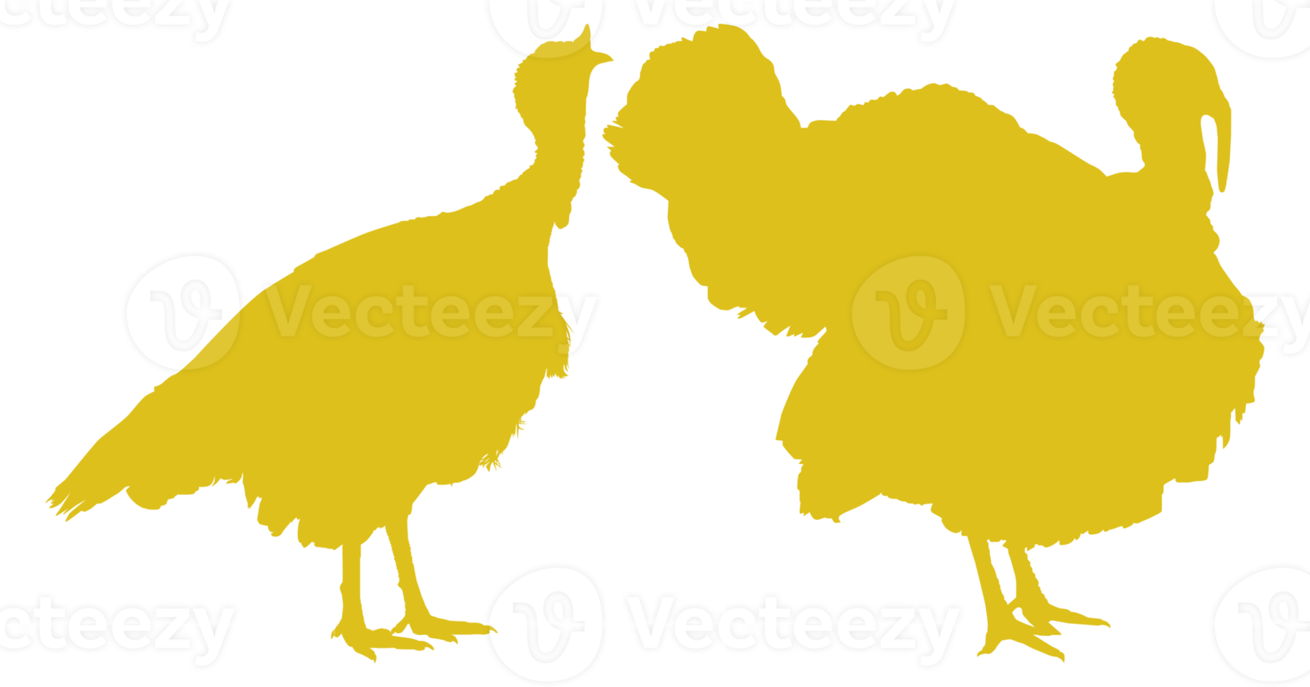 Pair of Turkey Silhouette for Art Illustration, Pictogram or Graphic Design Element. The Turkey is a large bird in the genus Meleagris. Format PNG