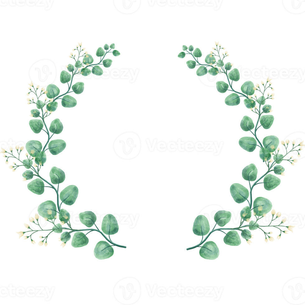 Watercolor floral WREATH png with transparent background