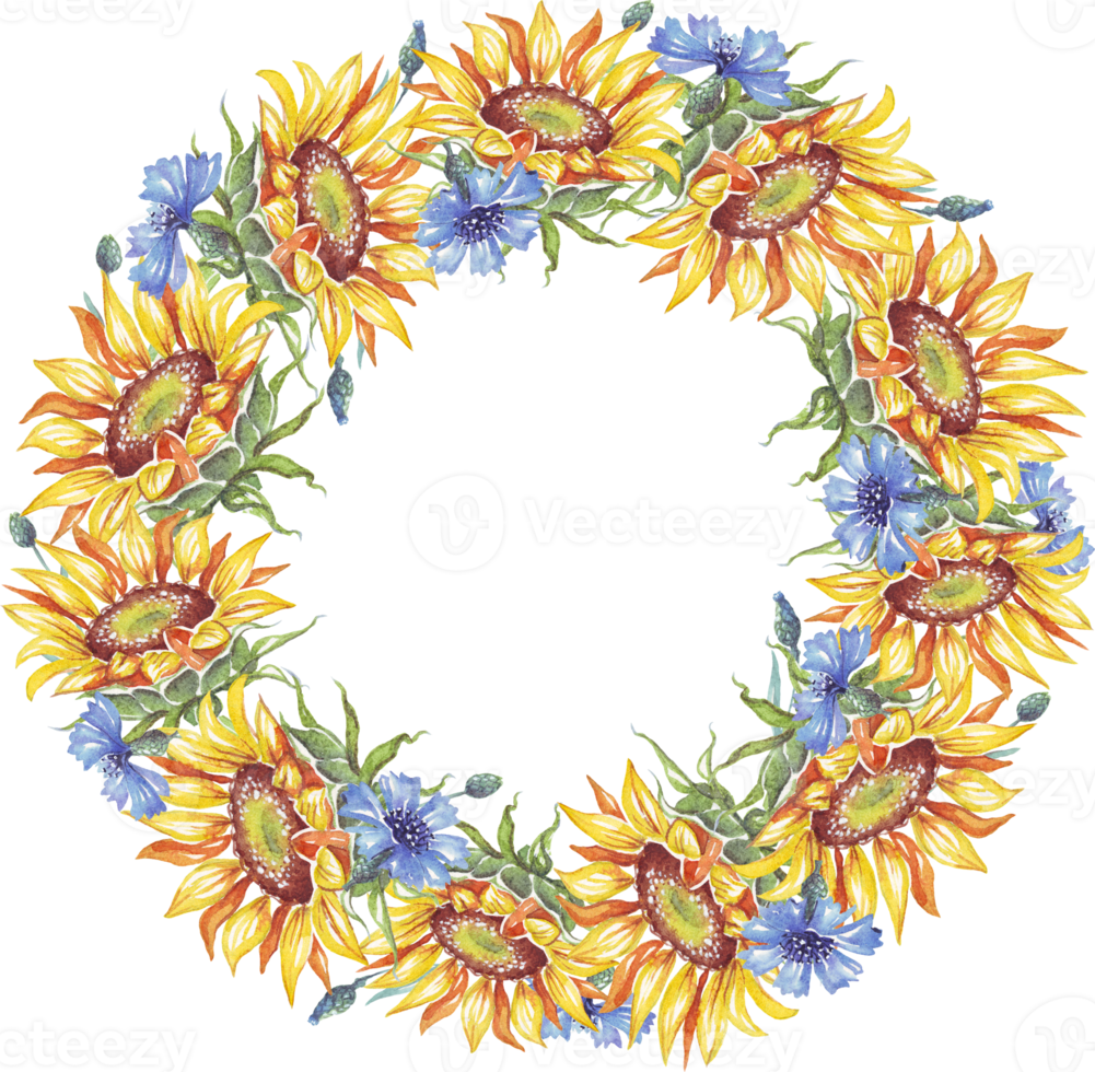 Wreath. Watercolor sunflower and cornflower png