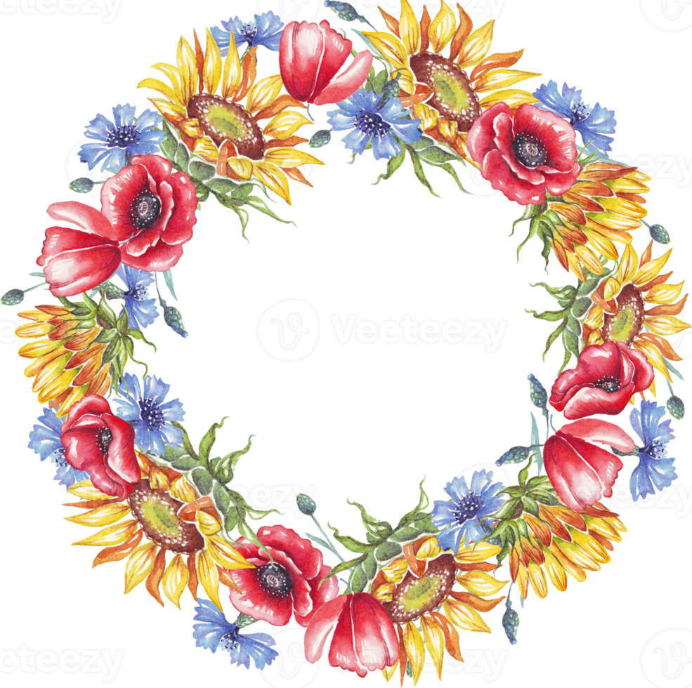 Wreath. Watercolor sunflowers, cornflowers and poppies png