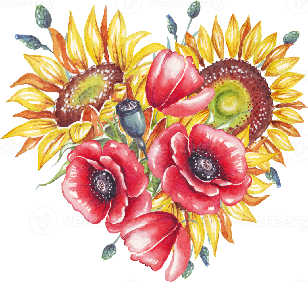 Ukrainian heart. Watercolor sunflower and poppy flower png