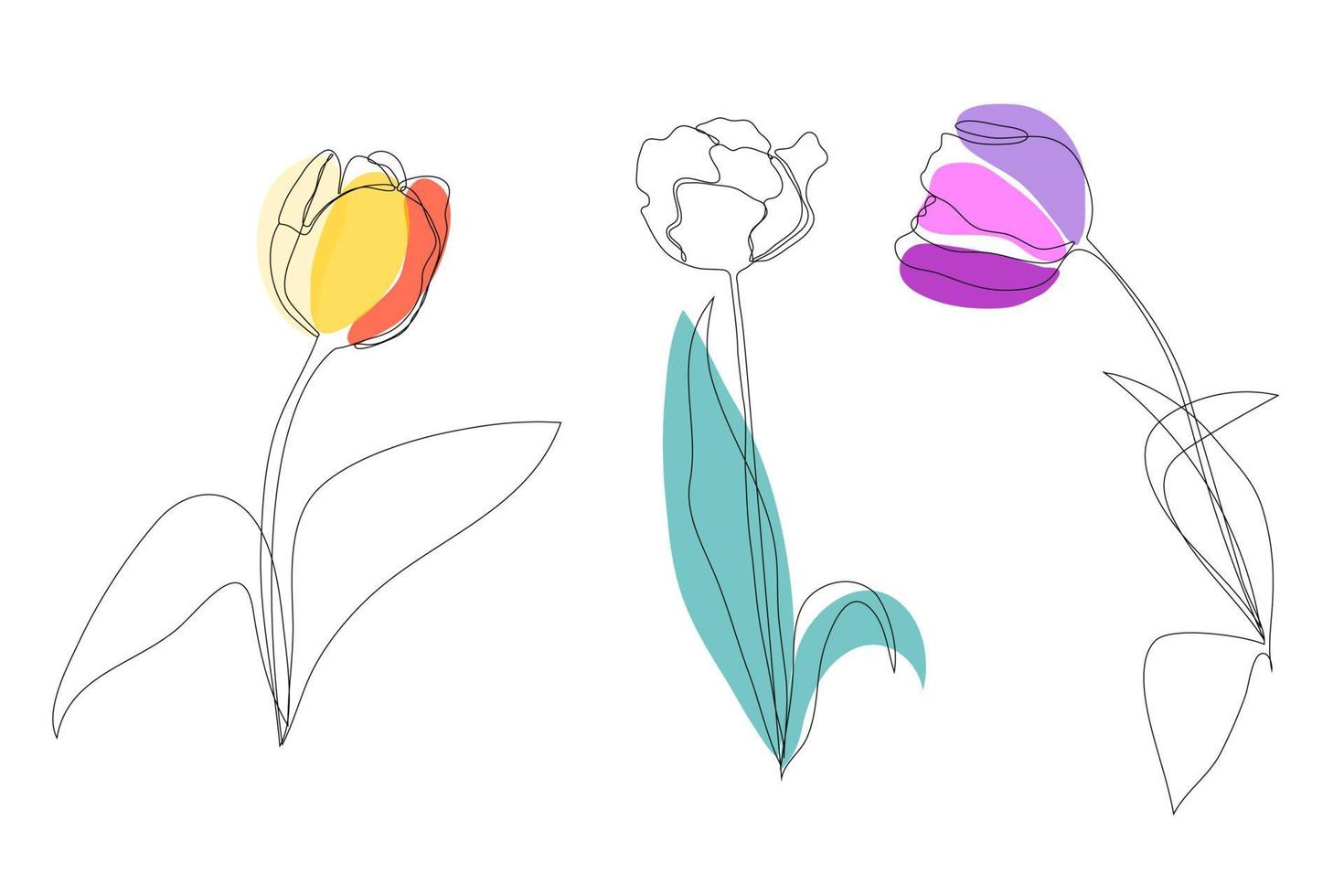 Set beautiful blossoming tulip flower in continuous line art drawing style. Minimalist black linear sketch isolated on white background. Vector illustration.