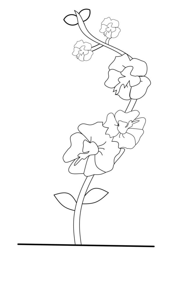 Orchid Flower sketch with white background elements. Vector illustration.
