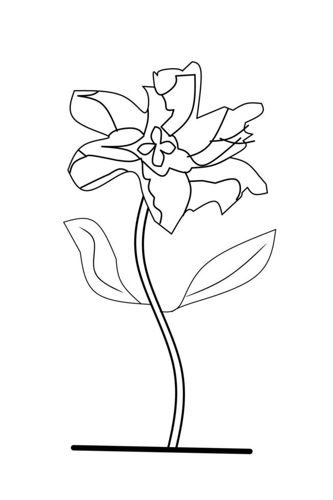 Lily Flower sketch with white background elements. Vector illustration.