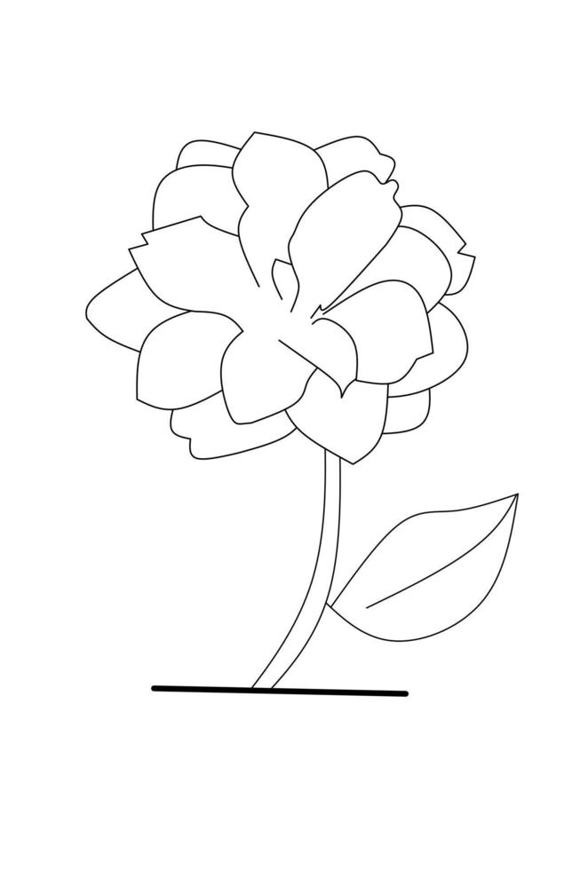 Camellia flower outline on white background. vector illustration.