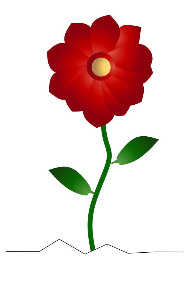 Beautiful Dahlia Flowers With White Background. Vector illustration.