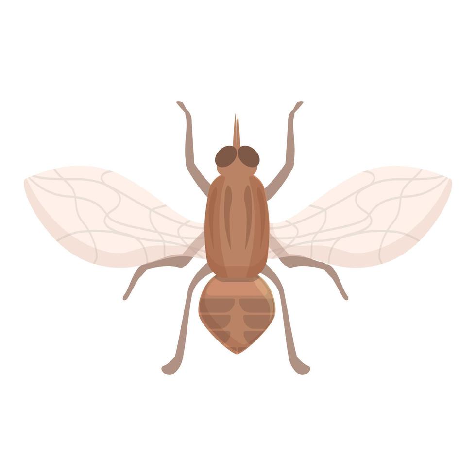 Glossinidae tsetse fly icon cartoon vector. Insect mosquito vector