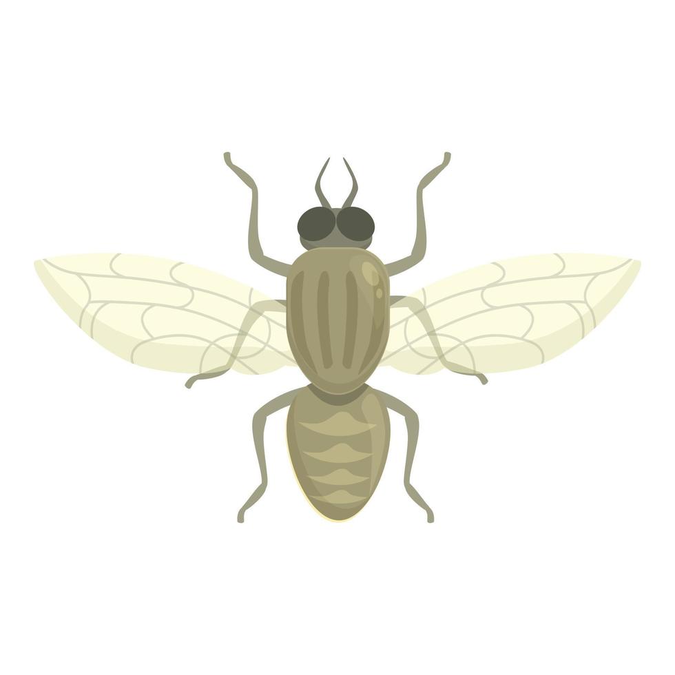 Blood tsetse fly icon cartoon vector. Africa insect vector