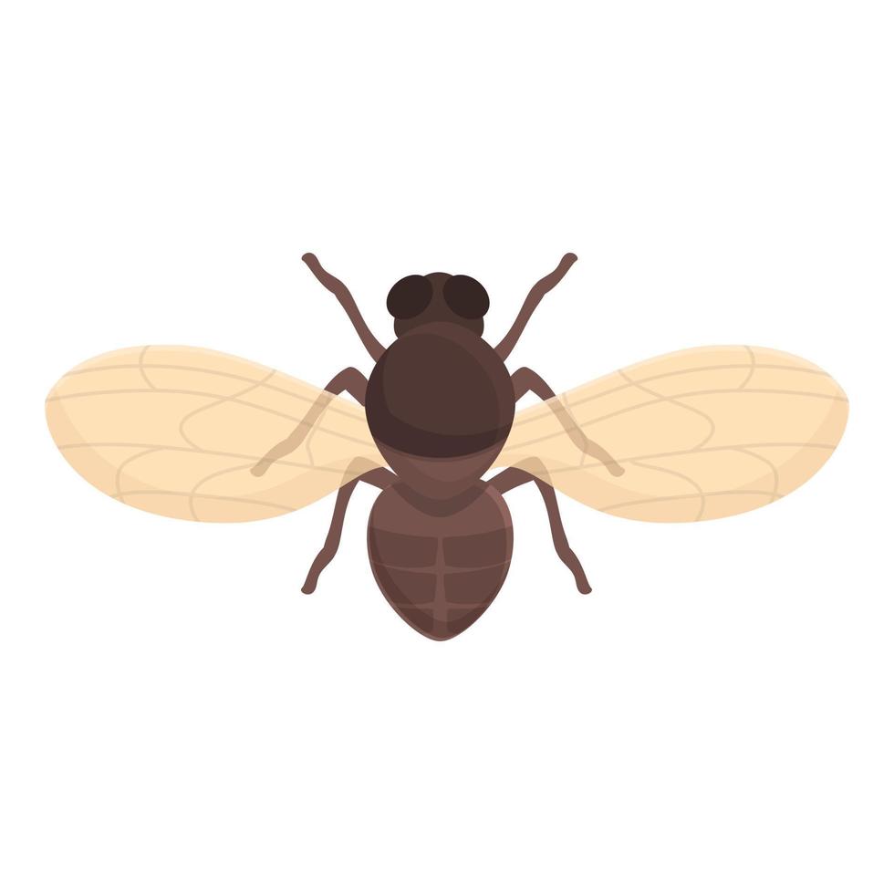 casa tsetsé mosca icono dibujos animados vector. África insecto vector