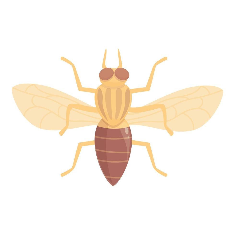 Tsetse fly insect icon cartoon vector. Africa mosquito vector