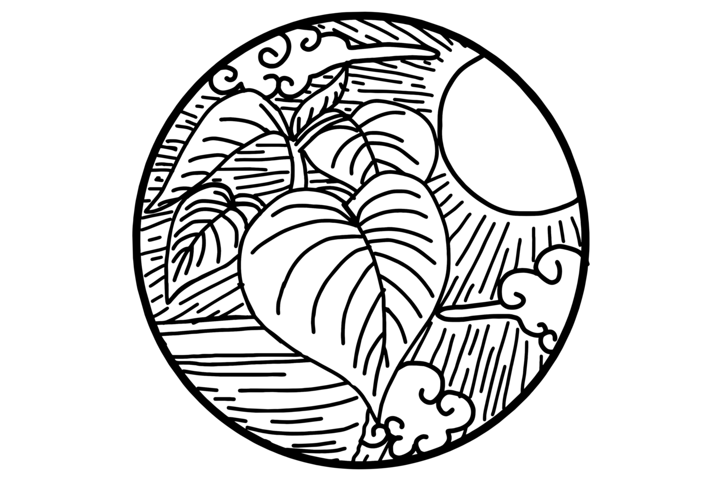 Plants In Pots With Sunlight Background png