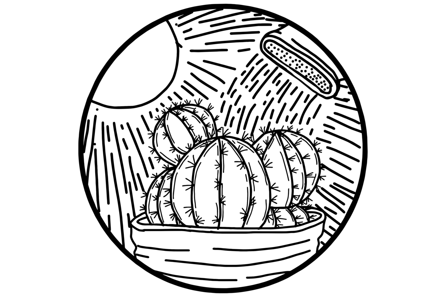 Watering Cactus In Pots During the Day png