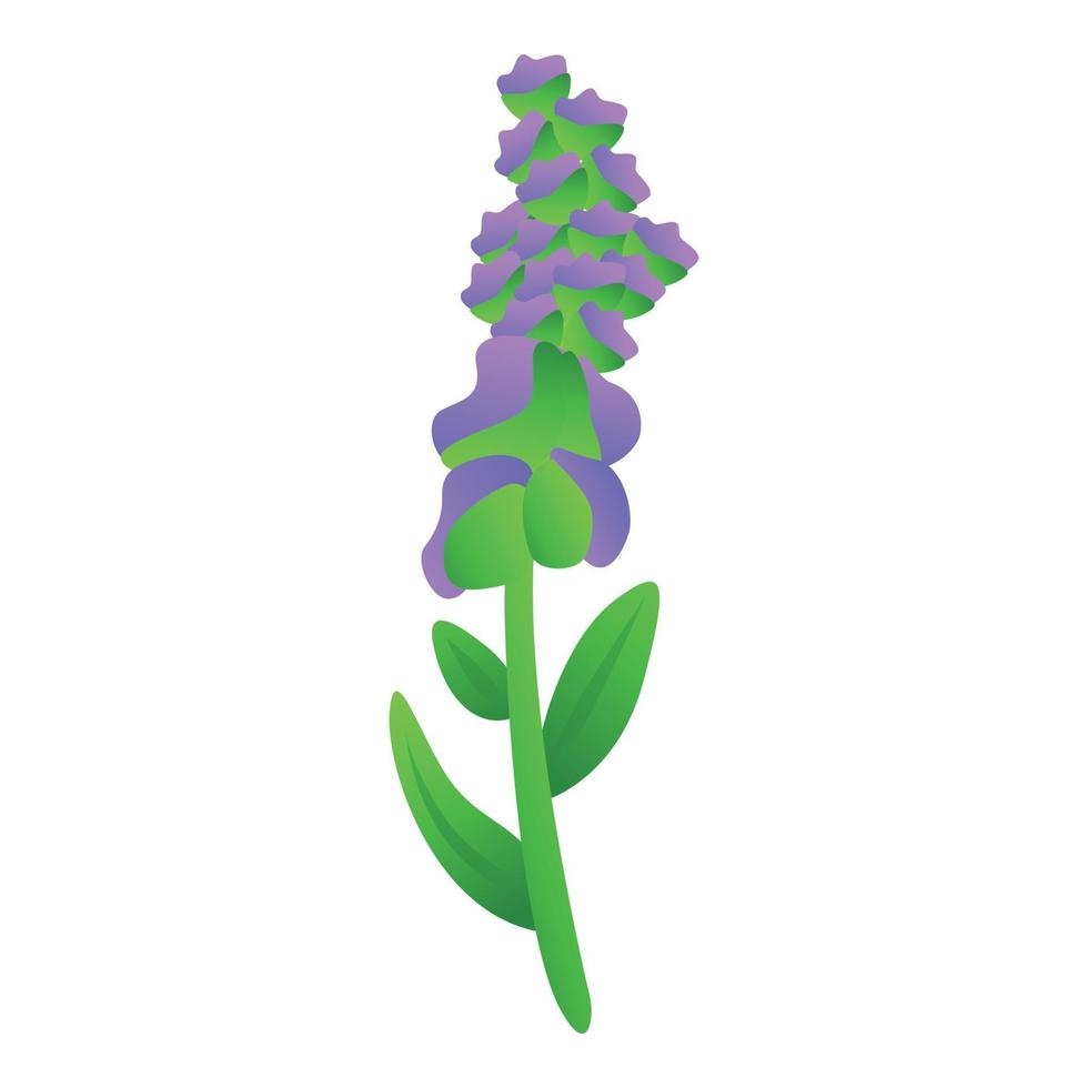 Sage tea plant icon cartoon vector. Leaf herb vector