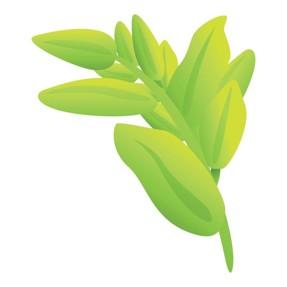 Green sage icon cartoon vector. Leaf plant vector