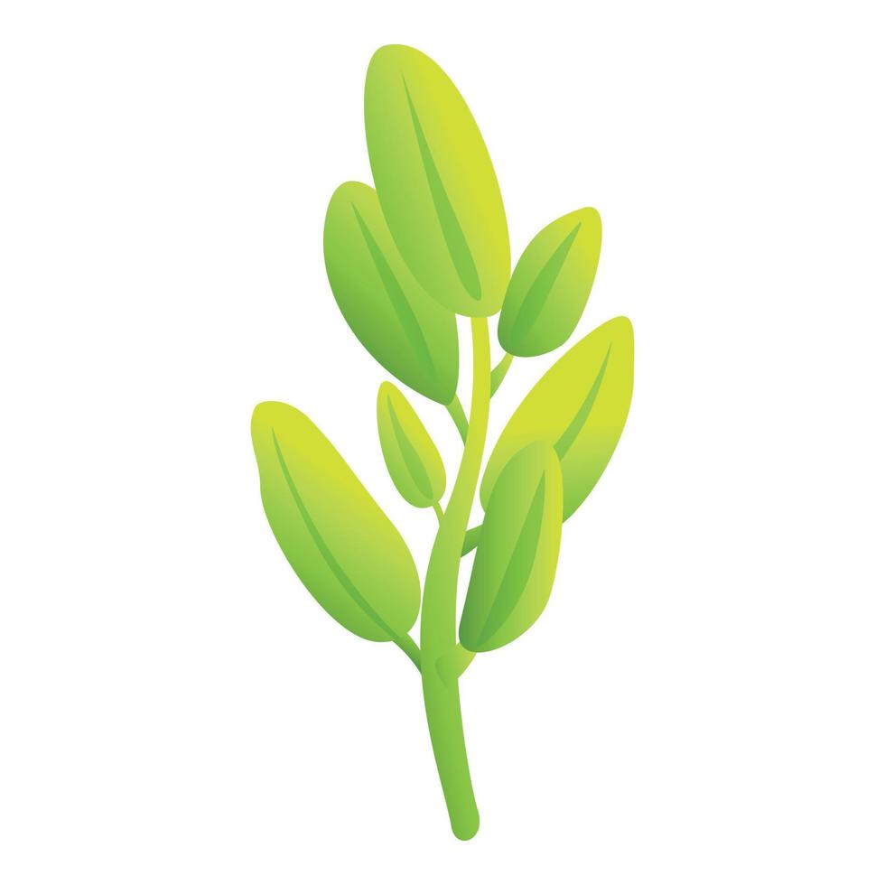 Sage plant icon cartoon vector. Herb leaf vector