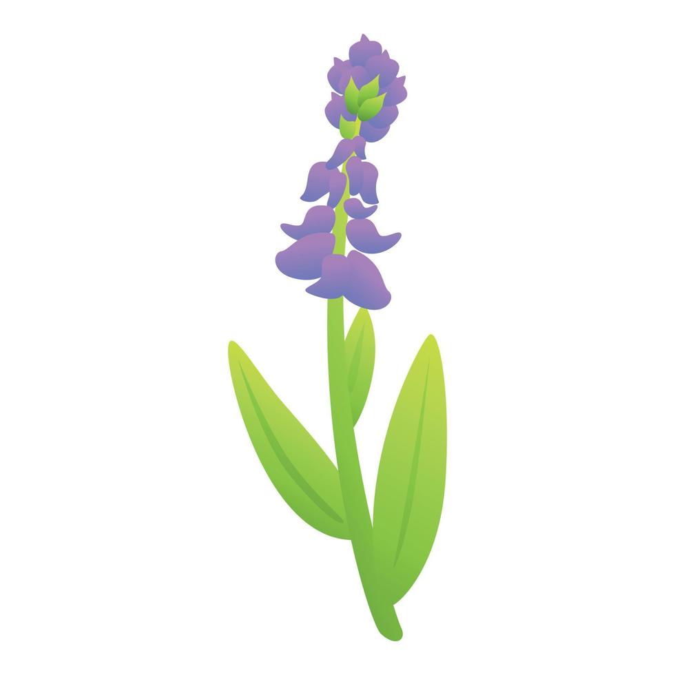 Sage flower icon cartoon vector. Leaf plant vector