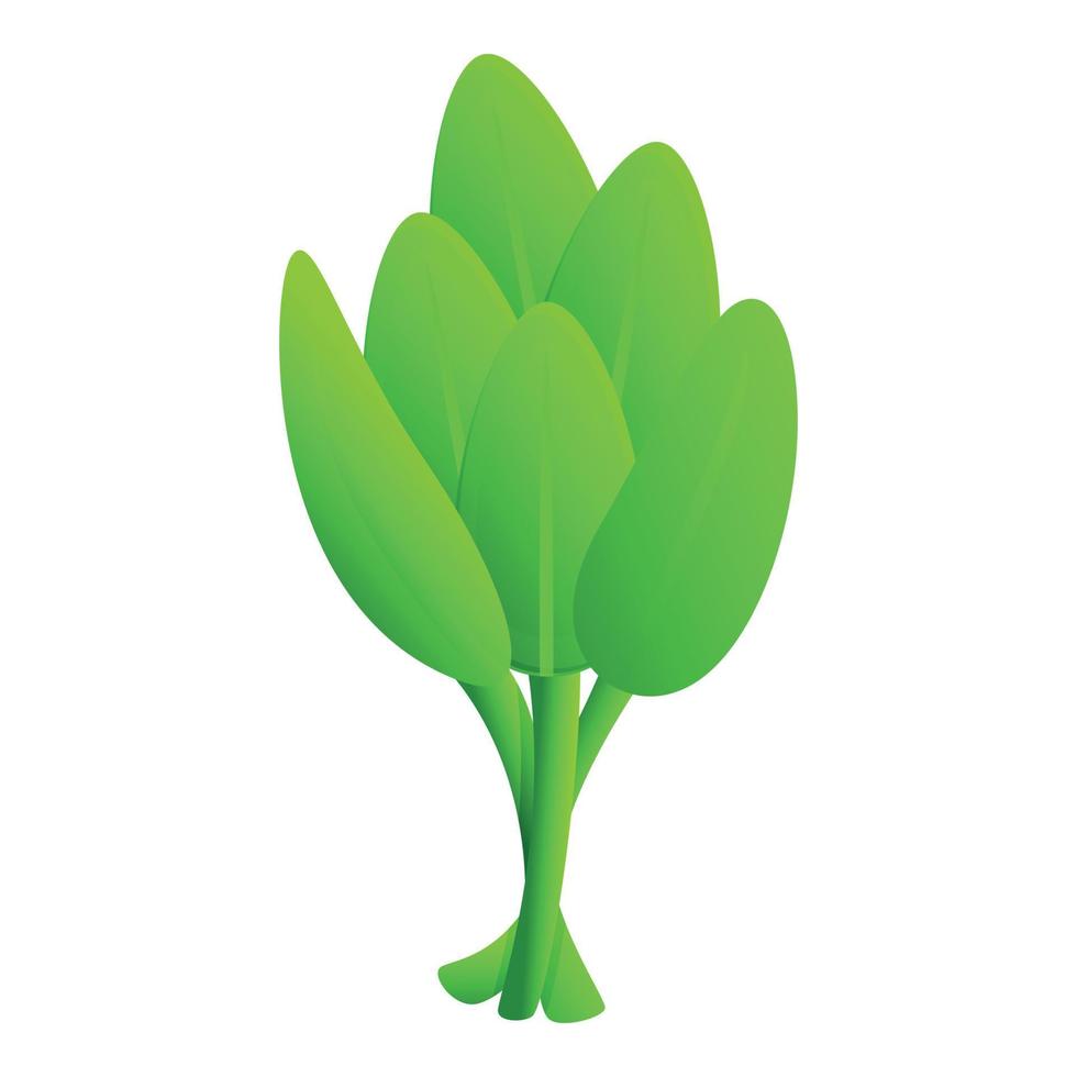 Sage leaf icon cartoon vector. Herb plant vector