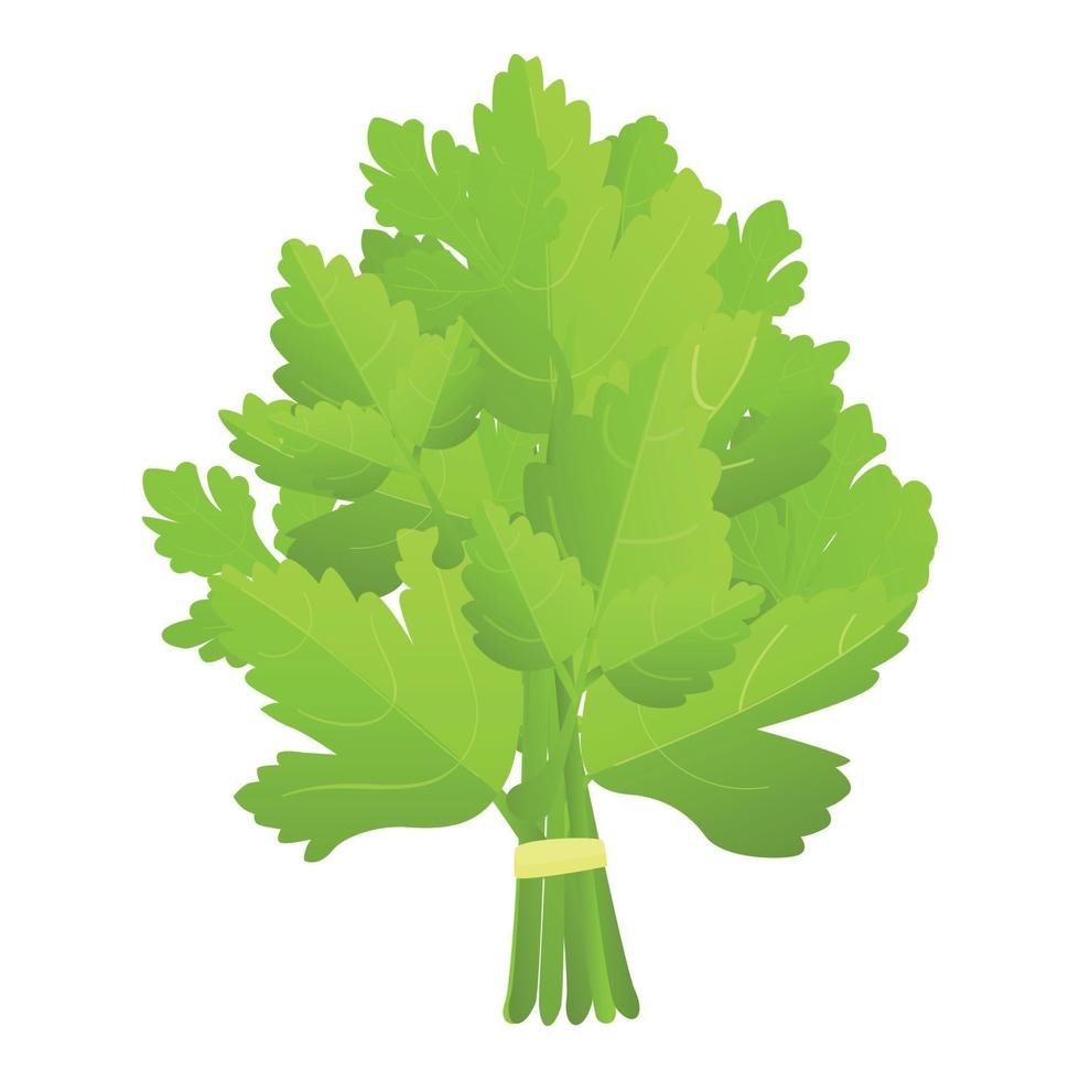 Branch parsley icon cartoon vector. Leaf plant vector