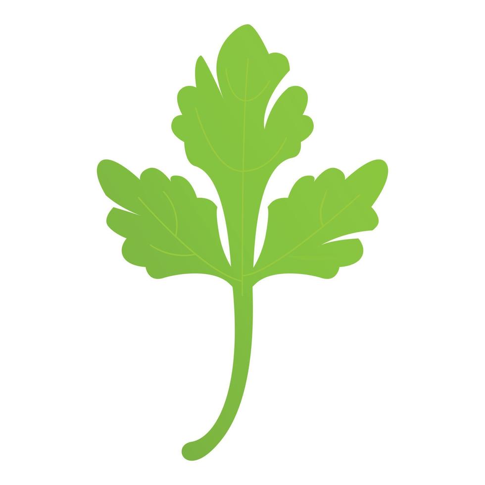 Fresh parsley leaf icon cartoon vector. Herb plant vector