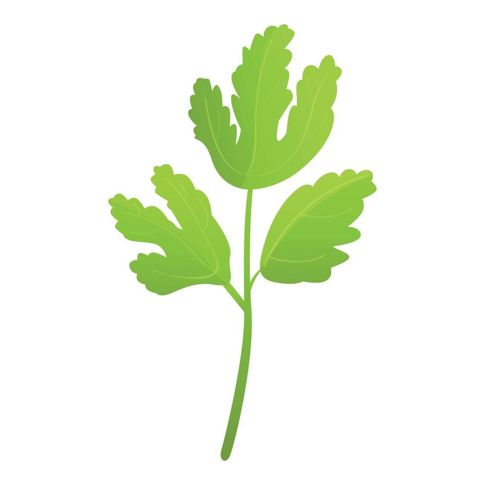 Health parsley icon cartoon vector. Leaf plant vector
