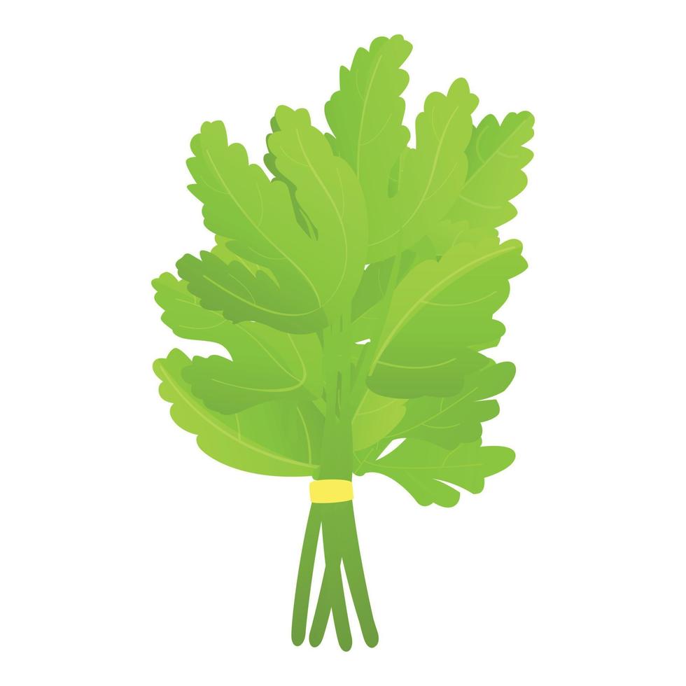 Parsley salad icon cartoon vector. Leaf plant vector
