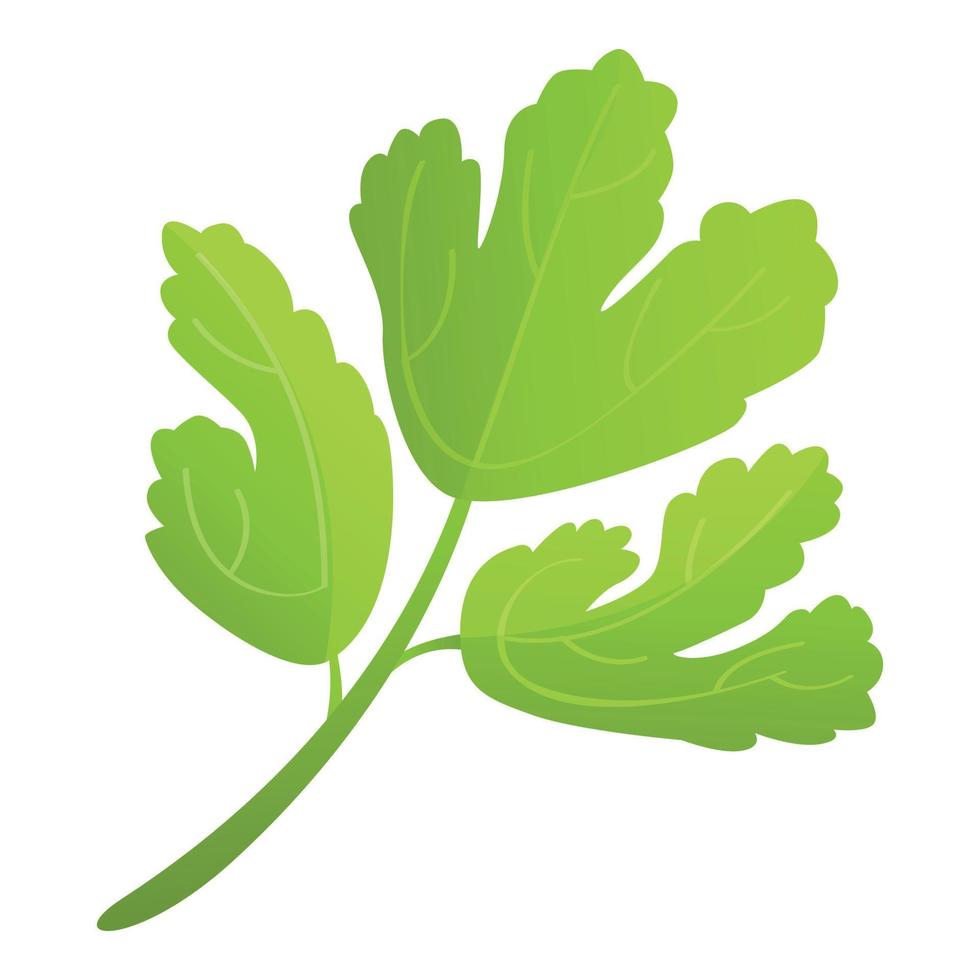 Nature parsley icon cartoon vector. Leaf plant vector