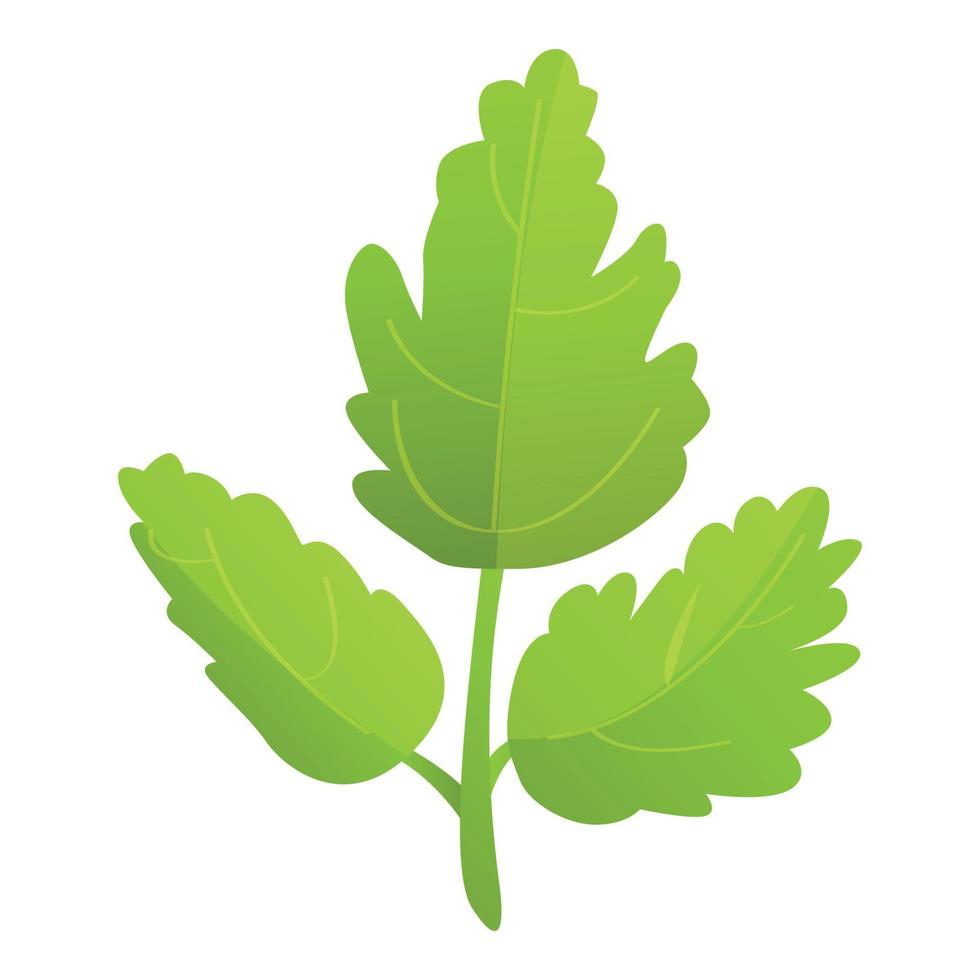 Food parsley icon cartoon vector. Herb plant vector