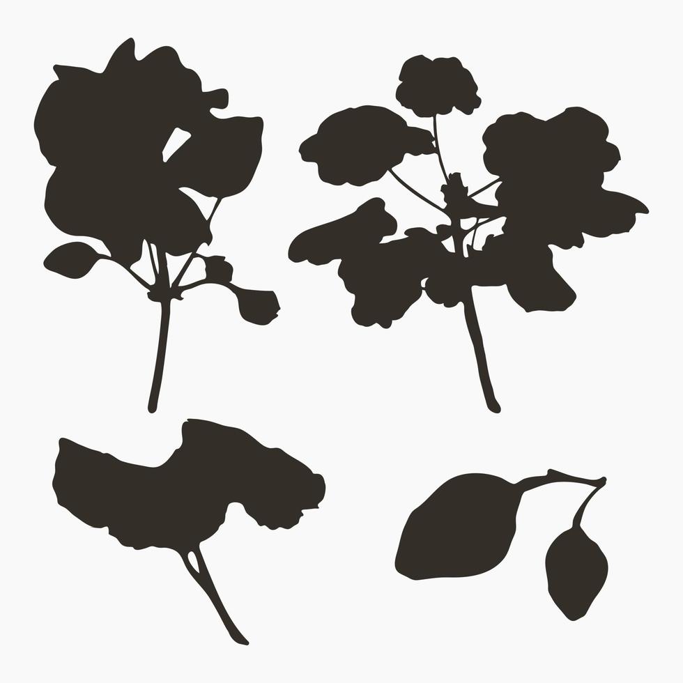 Real modern silhouettes plants, herbs. Drawing flowers begonia. Flat design art design template. vector