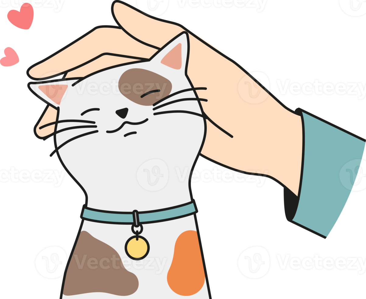 Hand caress cute cat png