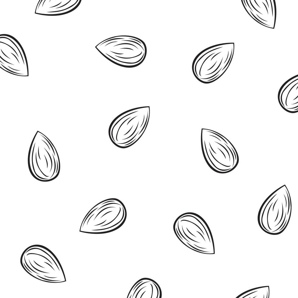 Almonds Doodle Outline Illustration Graphic Design Vector