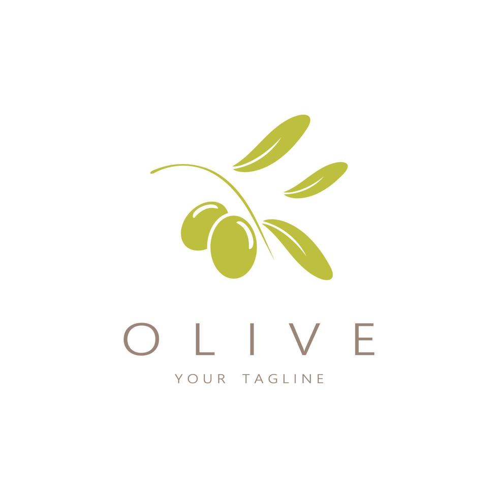 leaf plant logo and natural olive fruit .Herbal,olive oil,cosmetics or beauty,business,cosmetology,agriculture,ecology concept,spa,health,yoga center,vector vector