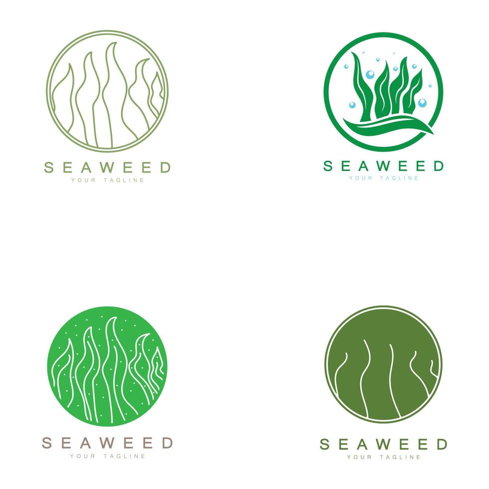 diseño de ilustración de icono de logotipo de vector de algas marinas. Incluye mariscos, productos naturales, floristería, ecología, bienestar, spa.